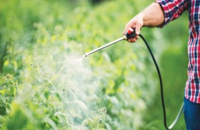 رابط خطير بين المبيدات الحشرية والإصابة بالسرطان