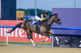 87 خيلا تتنافس في الأمسية السادسة لكرنفال سباقات دبي