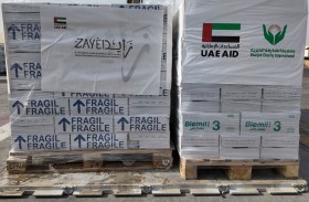 الفارس الشهم 3 تسير شحنة مساعدات إماراتية عاجلة لأطفال غزة