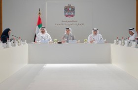 الوزاري للتنمية برئاسة منصور بن زايد يستعرض تقارير ومشاريع حكومية