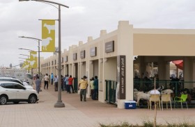 الشارقة للمواشي يستقبل 150 ألف زائر خلال الربع الأول من 2023