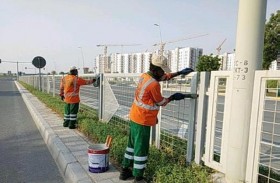 بلدية مدينة أبوظبي تنجز الاستعدادات لاحتفالات اليوم الوطني ويوم الشهيد