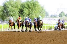 اليوم.. مضمار جبل علي يفتتح سباقاته للموسم الجديد بأمسية من 7 أشواط