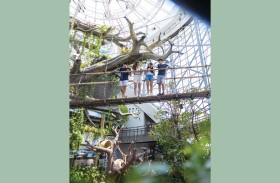 ذا جرين بلانيت دبي تطفئ أنوارها في ساعة الأرض دعماً لجهود حماية البيئة