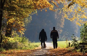 أصوات الطبيعة سلاح سري ضد التوتر