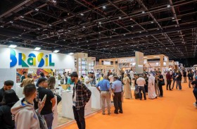 20 % نموًا في أعمال (دي إكس بي لايف) خلال النصف الأول من 2023