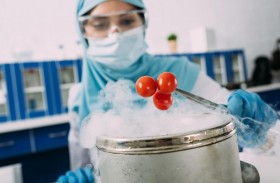 التربية تفتتح أكاديمية العلوم والسلامة الغذائية في 4 مدارس