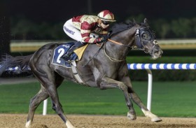 أوزبورن: معدات جديدة لـ «هارت أوف هونر» لتعزيز حظوظه في كأس دبي العالمي