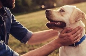 ثورة في الطب البيطري.. عقار جديد لإطالة أعمار الكلاب