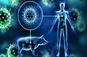 رصد أول إصابة بشرية بفيروس يصيب الخنازير