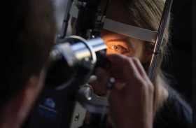 الذبابة السوداء أمام العين تدق ناقوس الخطر