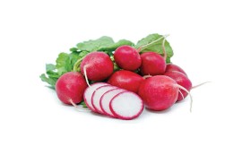 فوائد الفجل