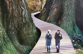 صعوبات المشي على منحنى مؤشر خطر