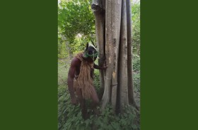 رجل يقضم لحاء الشجر بأسنانه