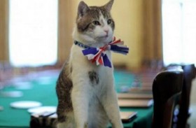 ما مصير القط لاري بعد مغادرة جونسون لدوانيننغ ستريت؟