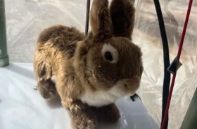 أرانب روبوتية لمواجهة الثعابين 