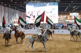 تطوير المنصّات الإلكترونية لمعرض أبوظبي الدولي للصيد والفروسية