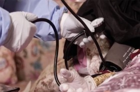 جلسات العلاج الطبيعي المنزلي لـكبار سن وطريحي الفراش بـاجتماعية الشارقة