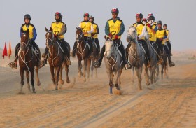 قرية بوذيب الدولية تستقبل اليوم آخر الخيول المشاركة في مونديال القدرة 