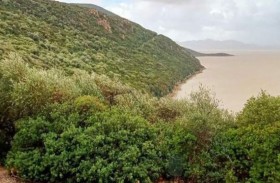 بحيرة «إشكل» في تونس.. نموذج للتنوع البيولوجي