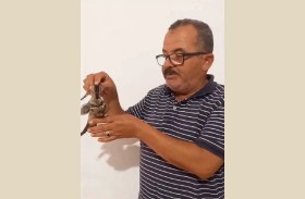 تونسي يعثر على طير نادر