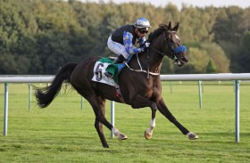 اليوم.. 9 خيول تتنافس على  «كأس الوثبة» في فرنسا