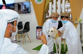 معرض أبوظبي للصيد يحتفي بالسلوقي بمسابقة فريدة للجمال