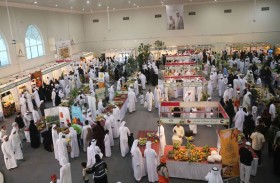 مهرجان خورفكان للمانجو 2026 يستقطب 40 ألف زائر محليا ودوليا