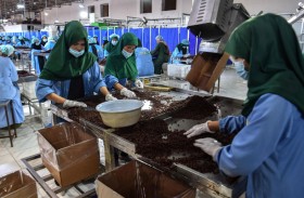 الأمم المتحدة: أفغانستان تحتاج  إلى «جهود الجميع» من رجال ونساء 