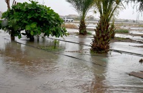 أمطار قياسية بالدولة.. و47.9 ملم أعلى كمية في الطويين بالفجيرة