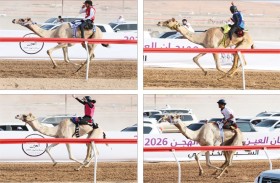 السباق التراثي يدشن منافسات ختامي مهرجان العين للهجن 2026