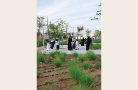 بلدية مدينة العين تختتم حملة «العين تستاهل» للحفاظ على المظهر العام