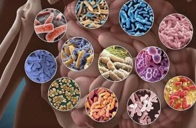 علماء يكتشفون صلة بين بكتيريا الأمعاء والصحة النفسية لدى الأطفال