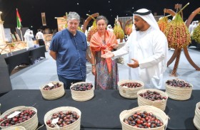 السفير الألماني لدى الدولة يزور مهرجان ليوا للرطب