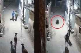 دب يفرض حظر تجوال 