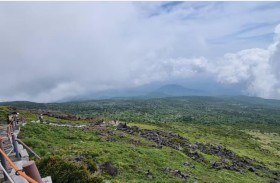 «حساء الشعيرية» يهدد الحياة البيئية على جبل «هالا»