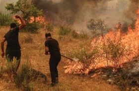 حريق في إسطنبول كل 19 دقيقة خلال عام 2025