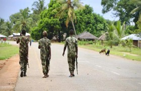 حكومة موزمبيق تدين إعدام عسكريين لامرأة 