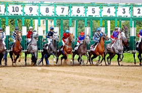 اليوم.. 9 خيول تتنافس في جولة روسيا لكأس رئيس الدولة للخيول العربية الأصيلة