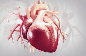 علماء يكتشفون «مفتاح» حماية القلب من التليف بعد النوبات