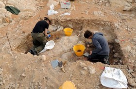 الشارقة تفتح باب الترشح لـ«منحة الفاية للبحوث» لدعم علوم التراث الثقافي والبحث العلمي