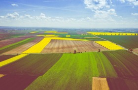 منظومة ‏‎ Agro Food Park‏تتصدر  الجهود العالمية‏ لتحقيق الاستدامة في قطاعي الزراعة والغذاء