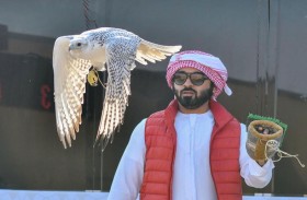 اليوم.. انطلاق كأس رئيس الدولة للصيد بالصقور على جوائز مالية قدرها 28 مليون درهم